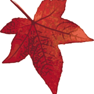 logo de red social linkendin